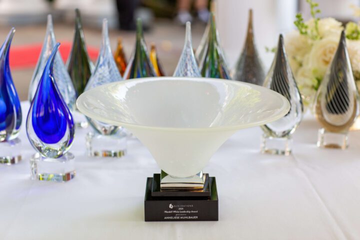 DSA awards-trophy