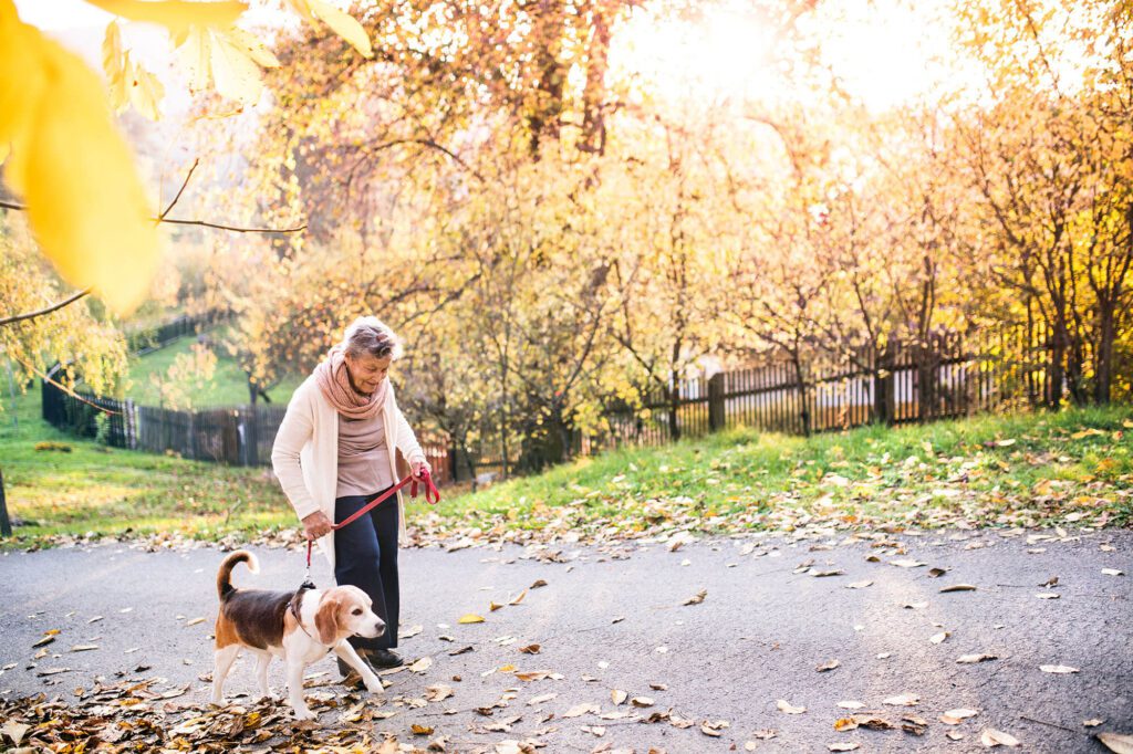 an elderly woman takes her dog for a walk to combat loneliness and isolation