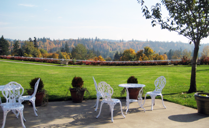 Somerset Outside Grounds in Gladstone